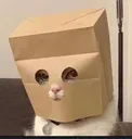 zCAT