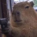 CAPYBARA