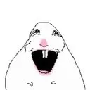HAMSTER