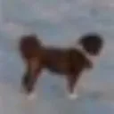Marvin