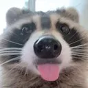 BANDIT