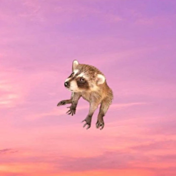 SUNCOON